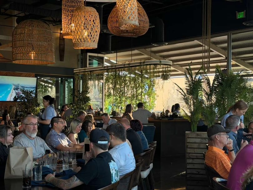 Diners seated at tables in a restaurant with large woven light fixtures and lush greenery.