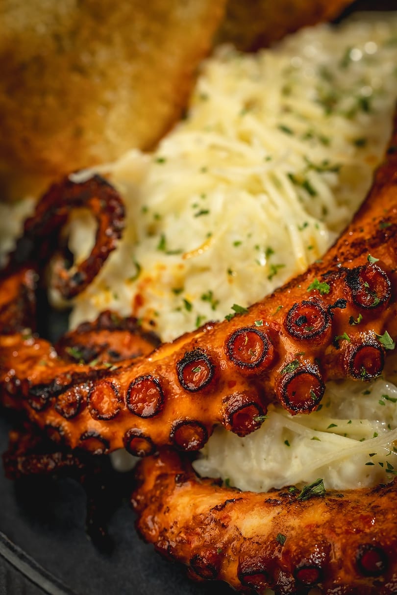 Grilled octopus tentacles with charred edges, served over creamy pasta with shredded cheese and parsley.